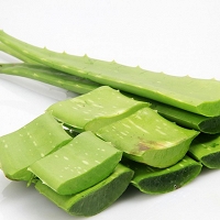 ALOES LIŚCIE (ALOE VERA) (1KG) IMPORT - EKO