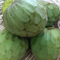 CHERIMOYA (3KG) IMPORT - EKO (opakowanie zbiorcze)