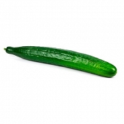 OGÓREK DŁUGI (12 SZT.) IMPORT - EKO (opakowanie zbiorcze)